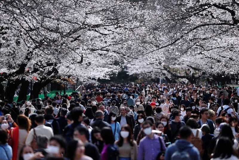 挤爆了！日本人围观奥运圣火、赏樱花、逛街，政府警告不管用（组图） - 1