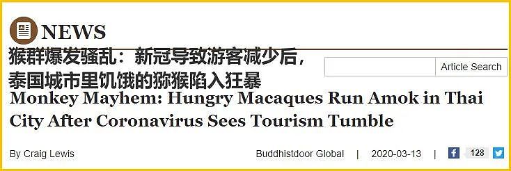 因为少了中国游客，全球整个生态圈都乱了!（组图） - 4