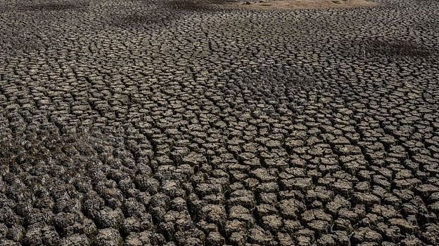 Dry bed of Chembarambakkam lake in the outskirts of Chennai