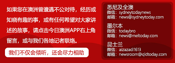 悉尼天空出现“TAIWAN CAN HELP”！在澳台湾人花式请愿，声援重返世卫大会（组图） - 8