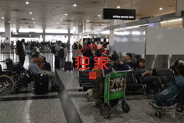 “放弃PR才能走！”多名澳洲华人机场遭移民官员拦截，全澳2423例，游轮疫情发酵，新州卫生部长终于后悔：“不应该让他们下船” - 2