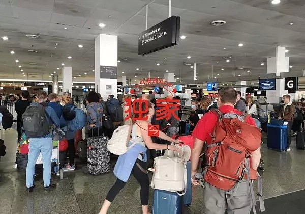 “放弃PR才能走！”多名澳洲华人机场遭移民官员拦截，全澳2423例，游轮疫情发酵，新州卫生部长终于后悔：“不应该让他们下船” - 23