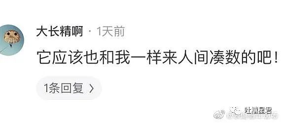 【爆笑】“在家偷看小X片，结果...亲爸被连夜带走？”哈哈哈哈父爱如山崩地裂…（组图） - 32