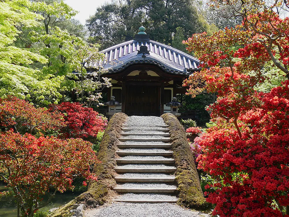 被这座“日本最美庭园”征服，17年蝉联第一，每年引50万人前来朝圣（组图） - 26
