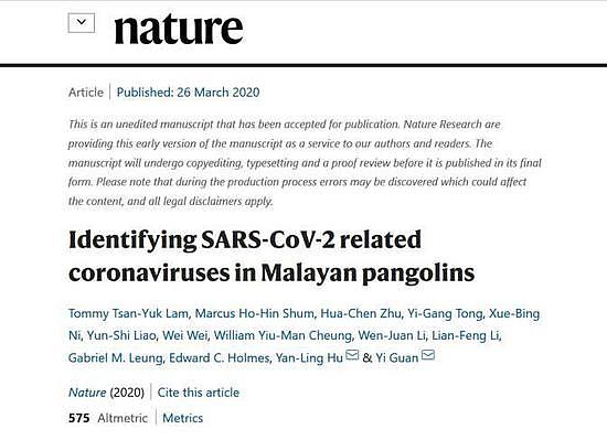 管轶新论文:在马来亚穿山甲中发现相关新冠病毒（图） - 1