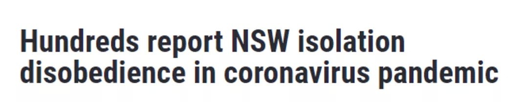 全澳飚至14人死亡，悉尼这两个区恐全面封锁！恐怖游轮“毒王”环球旅行？恐致数千人感染，新州州长喊话：本周末别出门 - 34