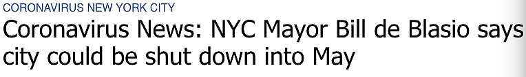纽约封城至5月 过半市民或感染 三周内将达医疗高峰 川普称纽约无需那么多呼吸机（组图） - 4