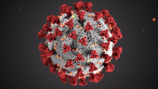 coronavirus.jpg,0