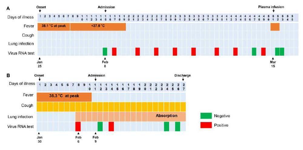 新研究发现排毒期长达49天新冠病例：症状轻微，或为新亚型（图） - 1