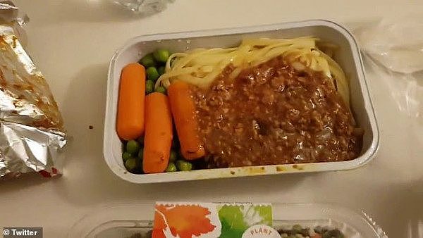 26606776-8169521-Her_spaghetti_bolognese_was_served_with_steamed_carrots_beans_an-a-11_1585617429811.jpg,0