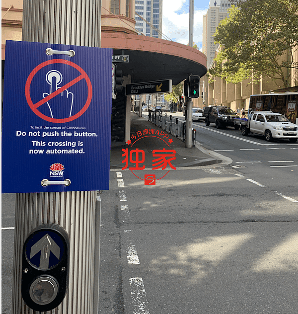 限制令升级！悉尼随处可见警员，墨市变“末世”；西人不戴口罩，留学生需更自律（视频/组图） - 12