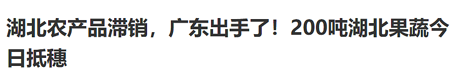 湖北再度求救！“撑过了疫情，却迈不过眼前这道坎…”（组图） - 18