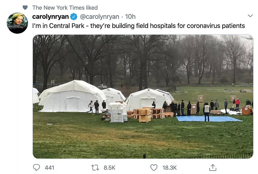 中央公园建起野战医院，纽约人炸锅了！（视频/组图） - 3