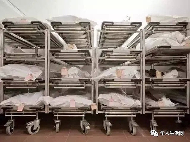 华裔医生曝光美国医院内幕！滴血的纽约，每17分钟死一个人，医院过道尸体遍地（组图） - 5