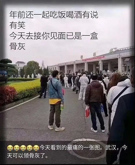 武汉殡仪馆排起百米长队，上亿人泪奔：人到中年，最怕父母变成一张照片（组图） - 3
