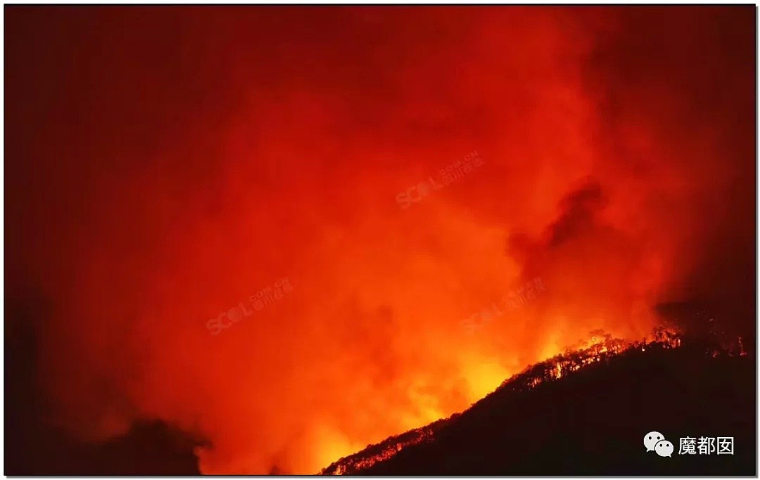 全国痛哭！19名消防员命丧凉山火海，家人号啕痛哭，让人心碎（视频/组图） - 12