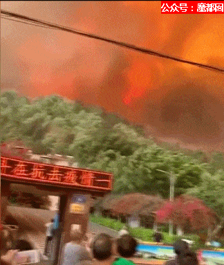 全国痛哭！19名消防员命丧凉山火海，家人号啕痛哭，让人心碎（视频/组图） - 23