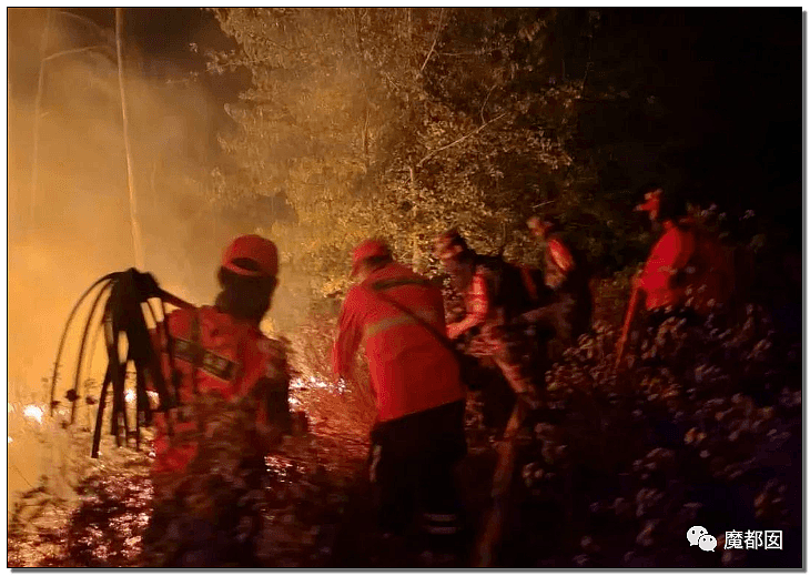 全国痛哭！19名消防员命丧凉山火海，家人号啕痛哭，让人心碎（视频/组图） - 26
