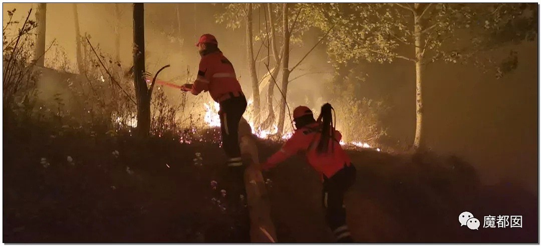 全国痛哭！19名消防员命丧凉山火海，家人号啕痛哭，让人心碎（视频/组图） - 28