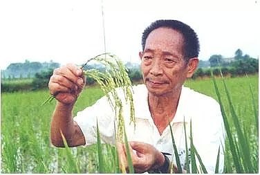 疫情恐引发粮食危机，中国的“秘密武器”藏不住了…（组图） - 42