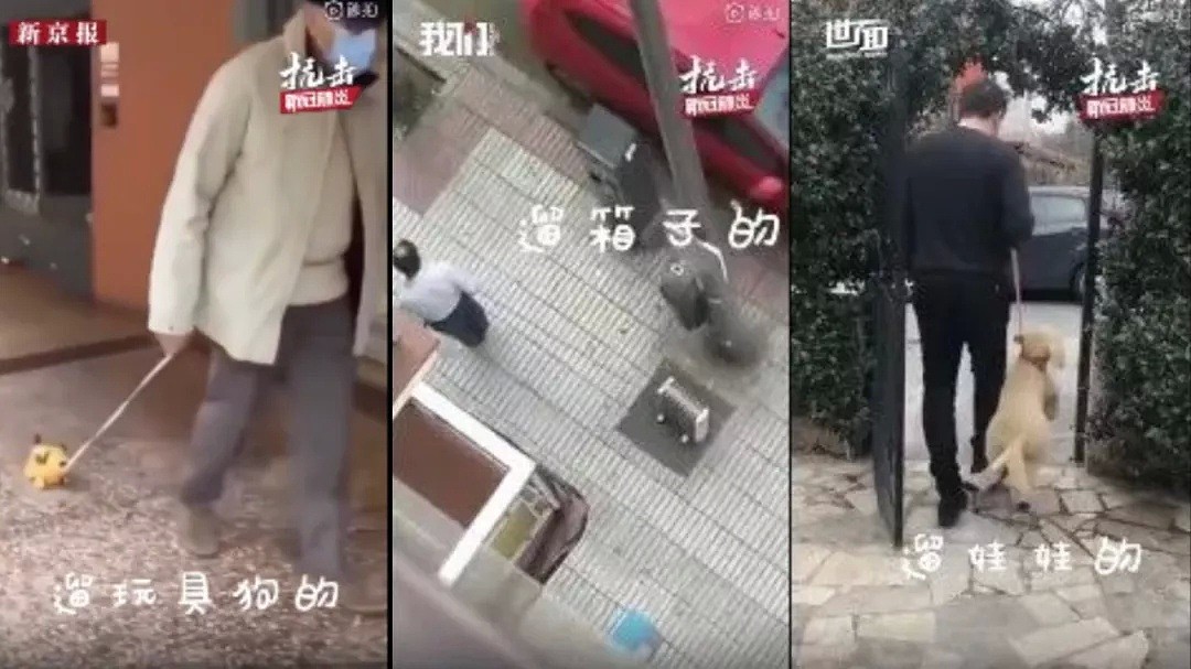 在家隔离第1周，数十万外国人都“疯了”！澳洲人在地板上打起了主意，美国人戏精上身…中国网友：“这集又重播了” - 48