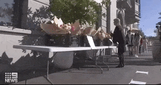 空荡的澳洲街头突然出现上百束鲜花，接下来的一幕给所有人一个大大的惊喜（组图） - 3