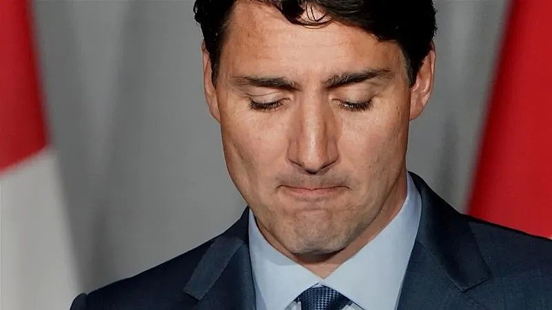 加拿大全国暴怒！特朗普命令3M停止向加拿大提供口罩 这背后一刀实在插得太狠（组图） - 10