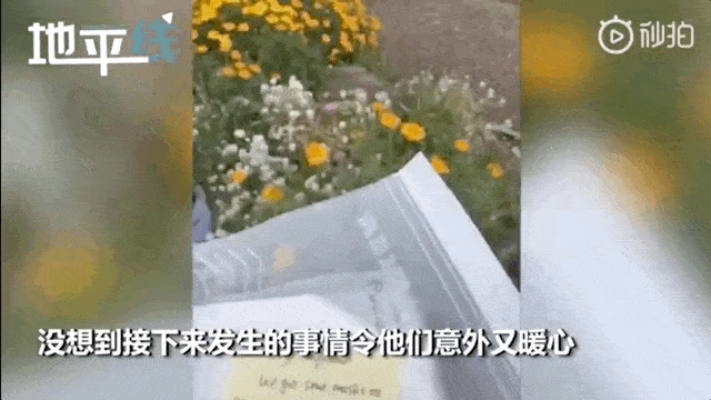 只因一件小事，澳洲邻居悄悄给华人家庭割草、送菜、送花（视频/组图） - 4