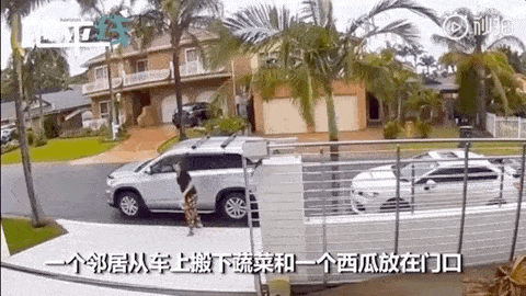 只因一件小事，澳洲邻居悄悄给华人家庭割草、送菜、送花（视频/组图） - 10