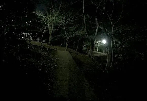 【灵异】毛骨悚然！东京闹鬼最凶的地方，竟然是日本繁华的市中心公园...（组图） - 6