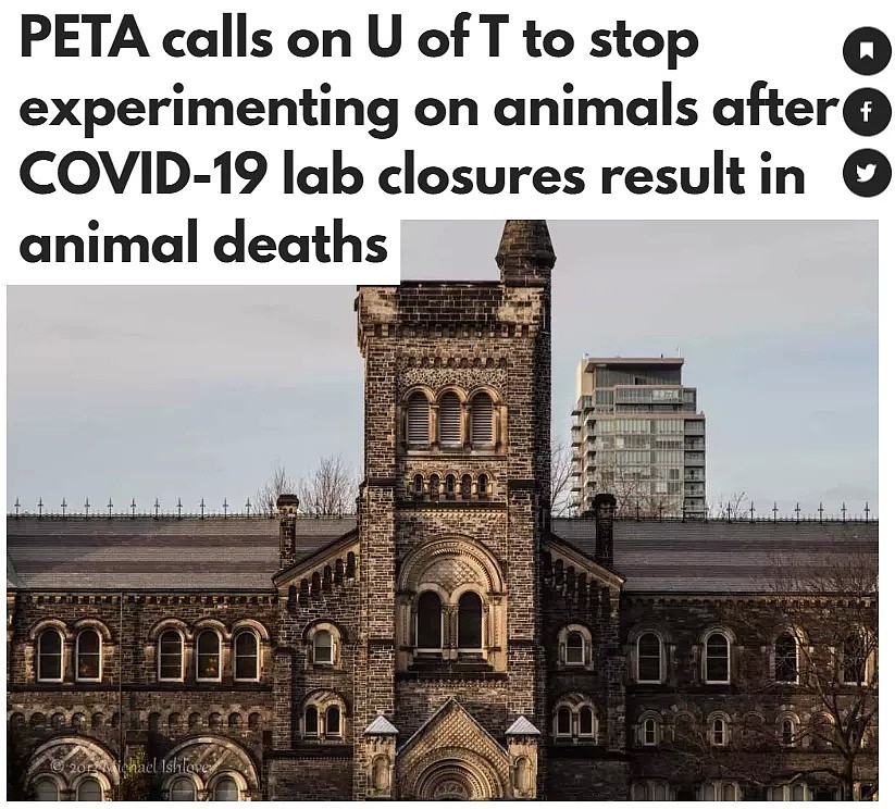 17897例！多伦多大学新冠实验室残杀100只动物！麦当劳、邮局员工确诊！（组图） - 10