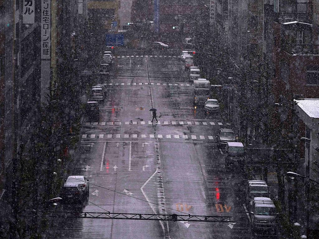 三月下旬的东京甚至下起了一场大雪，这种反季节的场景令多愁善感的日本人颇有感触，因为2011年的春天也是这样冰冷的。（美联社）