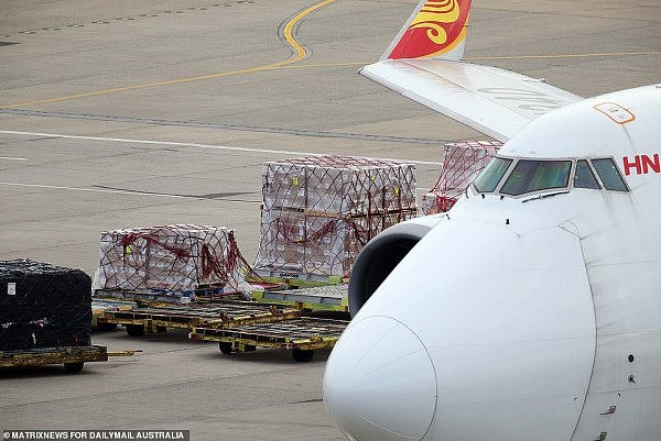 武汉解封后首架直飞航班抵达悉尼，载有90吨医疗物资！6名机组成员将自我隔离（视频/组图） - 18