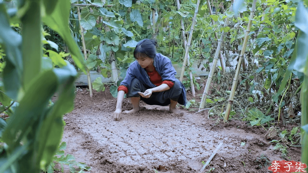 “李子柒弹棉花的视频，我儿子看了20遍”，暴露中国孩子最缺失的教育…（组图） - 27
