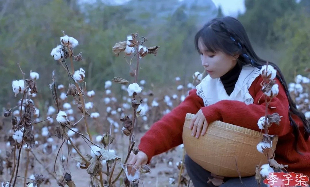“李子柒弹棉花的视频，我儿子看了20遍”，暴露中国孩子最缺失的教育…（组图） - 29