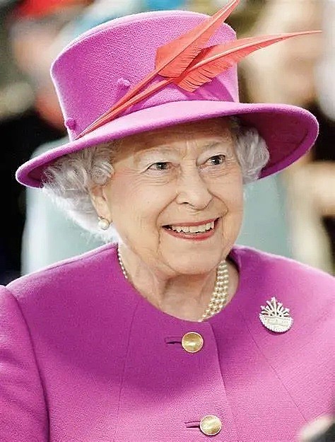 英国女王发表全国讲话，口红颜色和胸针透露重要信息（组图） - 3