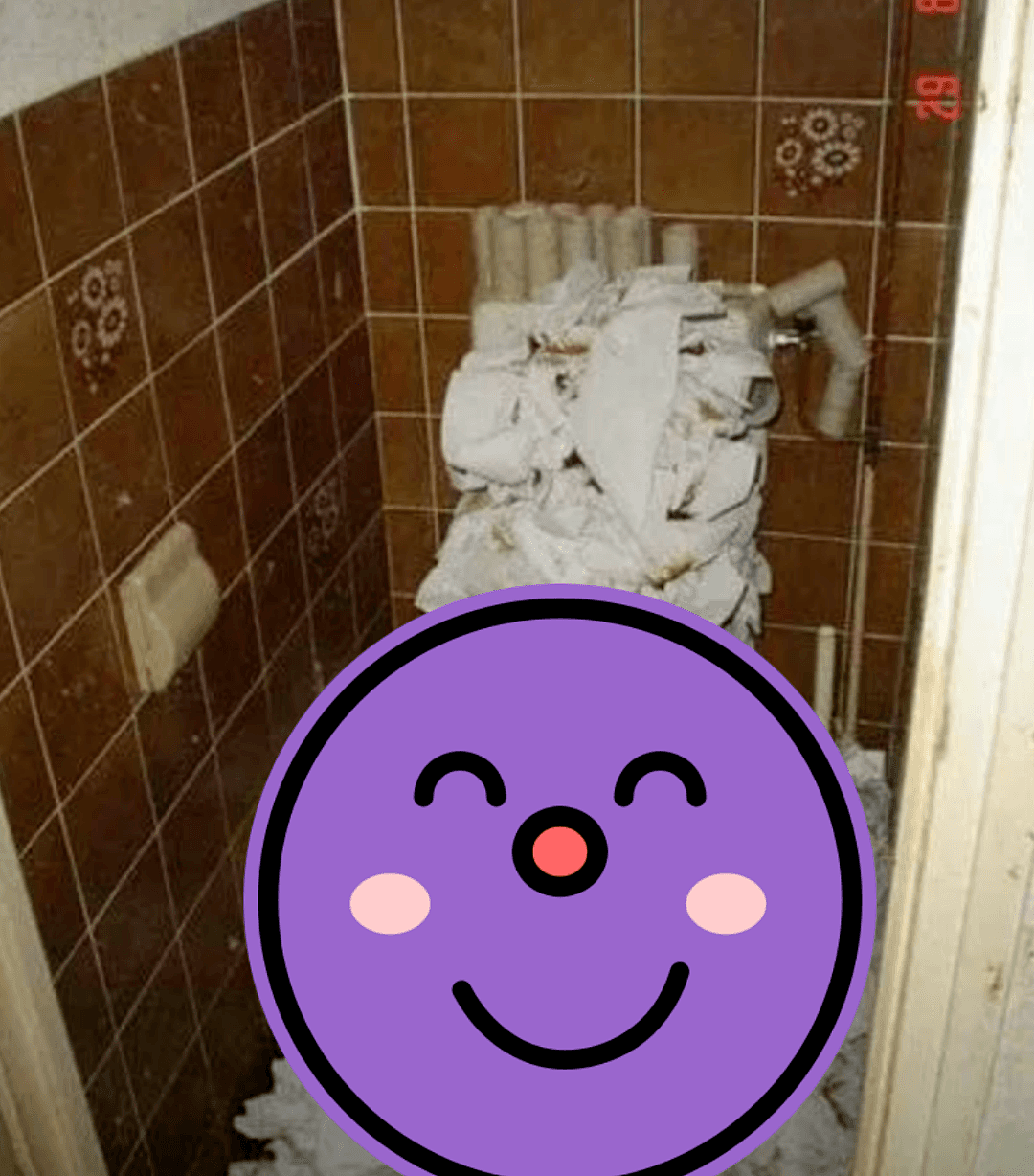那个偷偷去方舱医院「洗厕所」的女人。（视频/组图） - 42