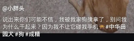 【爆笑】“女主播的衣服居然是画上去的？网友：对不起，是我看错了…”（组图） - 7