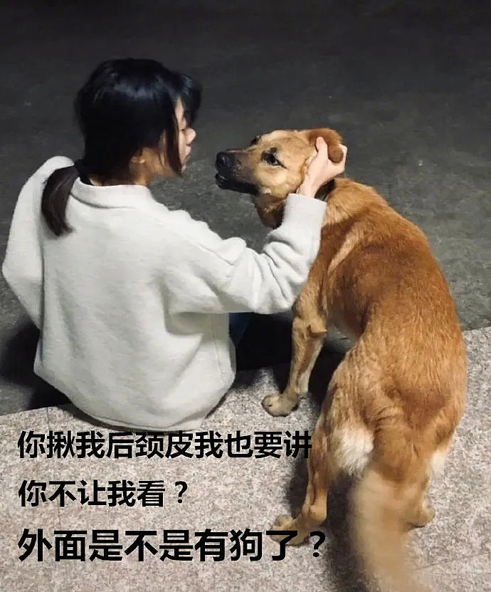 【爆笑】“女主播的衣服居然是画上去的？网友：对不起，是我看错了…”（组图） - 13