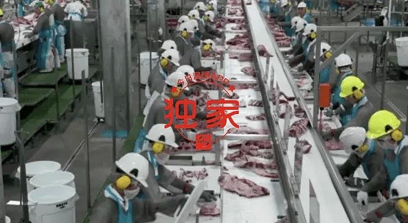 “摘下口罩，否则回家！”昆州肉厂华裔工人戴口罩求“自保”被呵斥，另有华裔女工怒而辞职 - 10