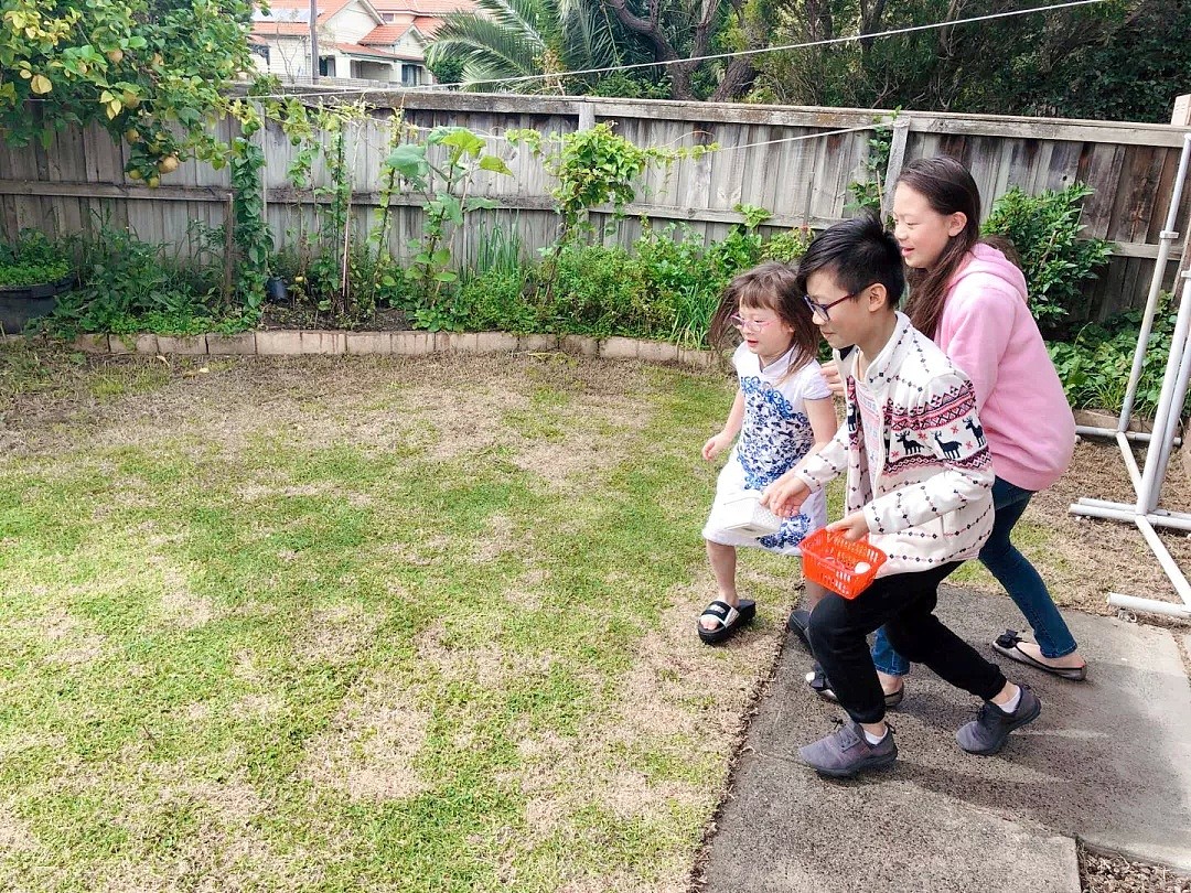 澳华人疫情生活：宅在家的复活节，娃们后院找蛋也玩得欢！（组图） - 8