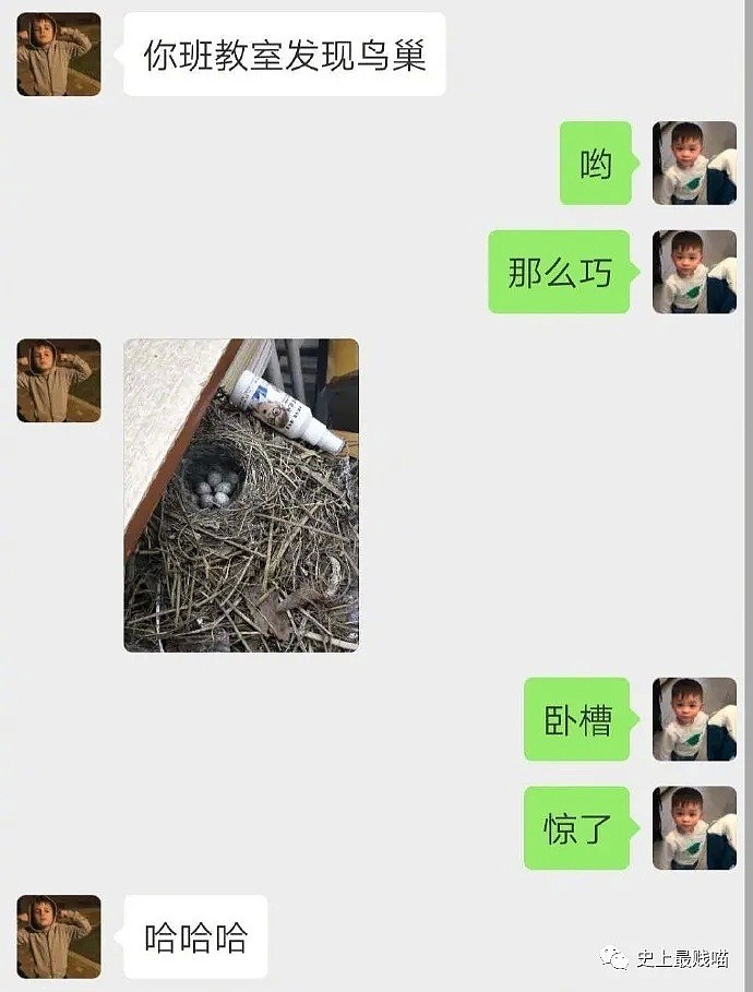 【爆笑】“跟明星做同学的好处？！” 哈哈哈哈哈这是什么反向骚操作啊（组图） - 21