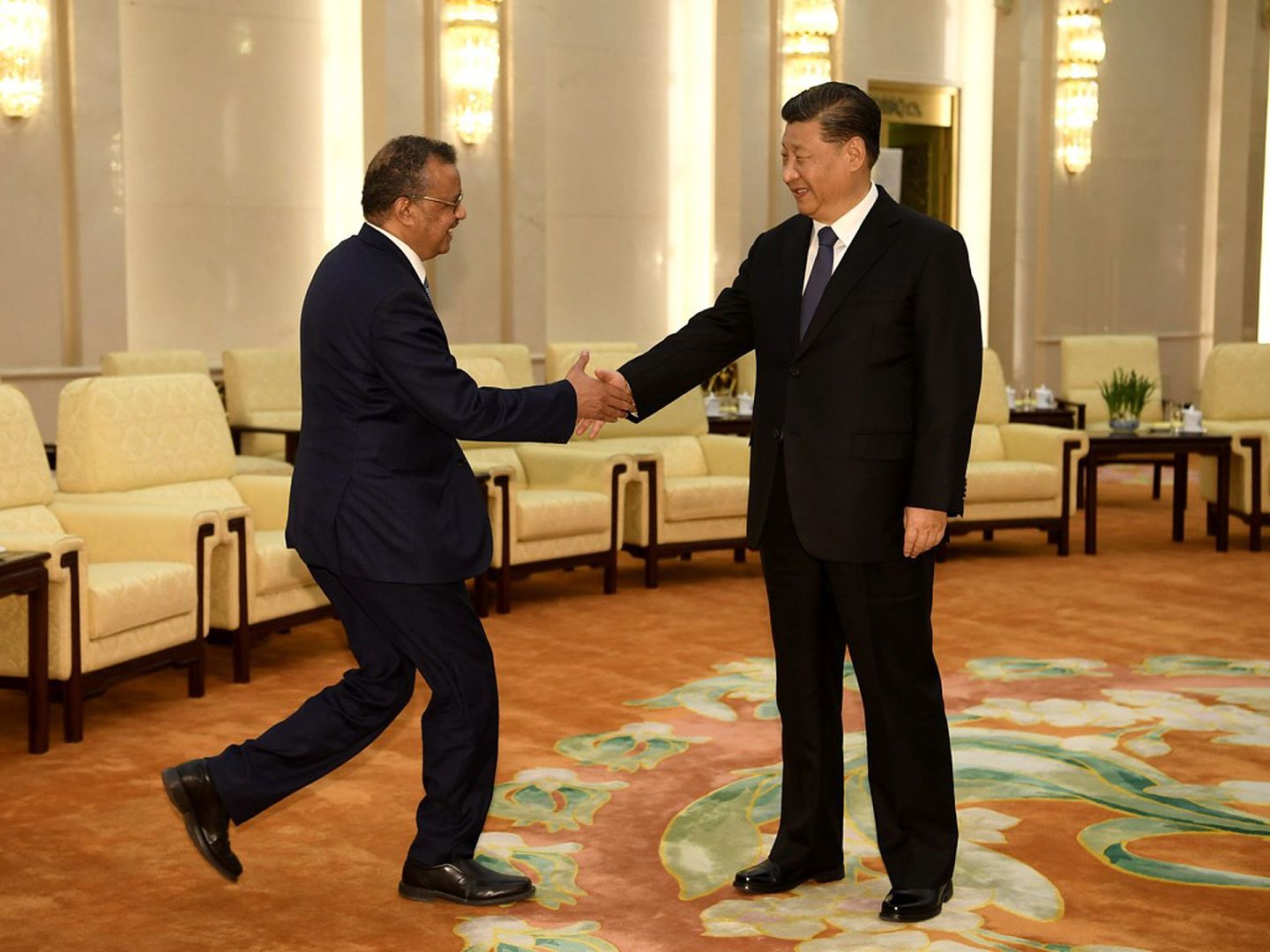 2020年1月28日，中国国家主席习近平在北京人民大会堂会见世卫组织总干事谭德塞。（AFP）