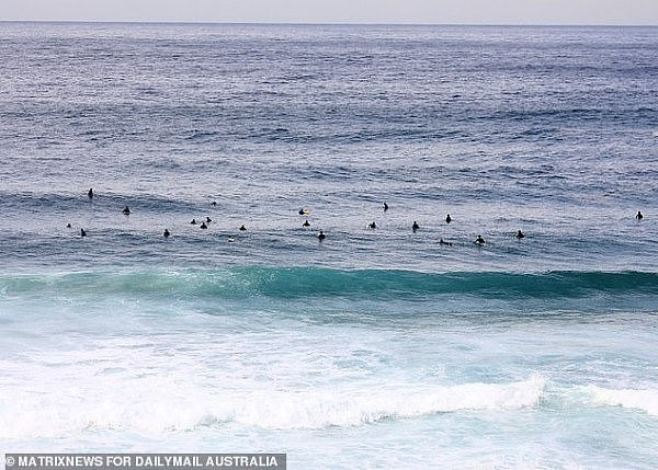 1000刀罚款也挡不住冲浪热情！悉尼人无视警告，“花样翻墙”进海滩，关闭标志成摆设（组图） - 2