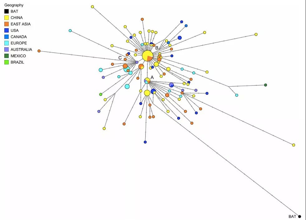 英德专家发布最新论文，原始病毒感染最多竟是美国和澳洲人！（组图） - 3