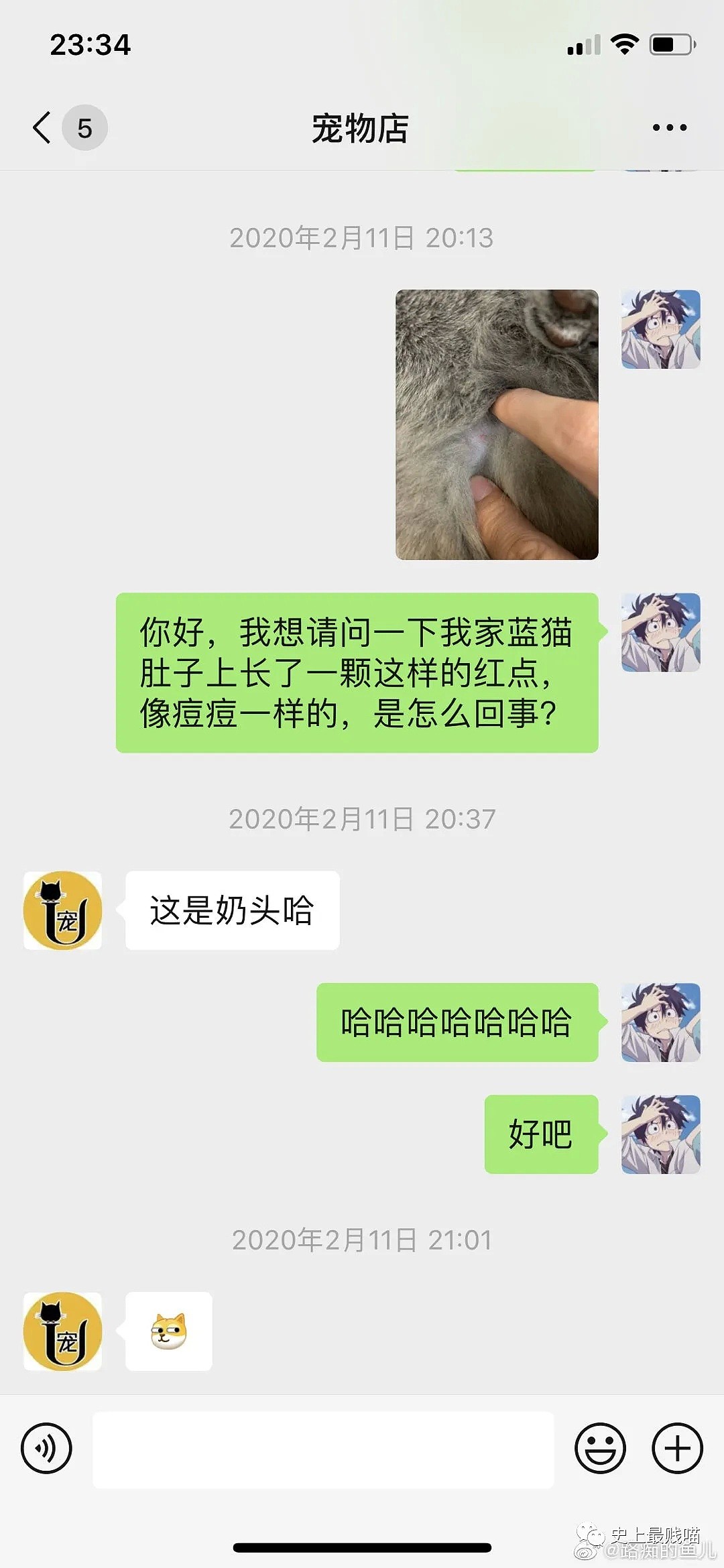 【爆笑】“这辈子都不想网购了！我怕会笑死在客服聊天对话里”哈哈哈哈（组图） - 4