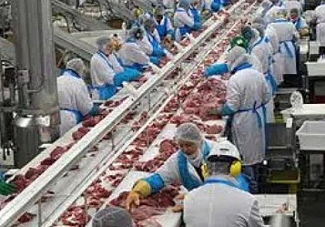 华人注意！全美要“肉荒”，美最大猪肉厂238人集体感染，无限期关闭（组图） - 4