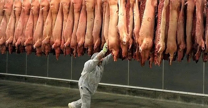 华人注意！全美要“肉荒”，美最大猪肉厂238人集体感染，无限期关闭（组图） - 8