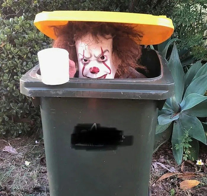 最近，每到收垃圾的日子，澳洲人就开始作妖了！（组图） - 23