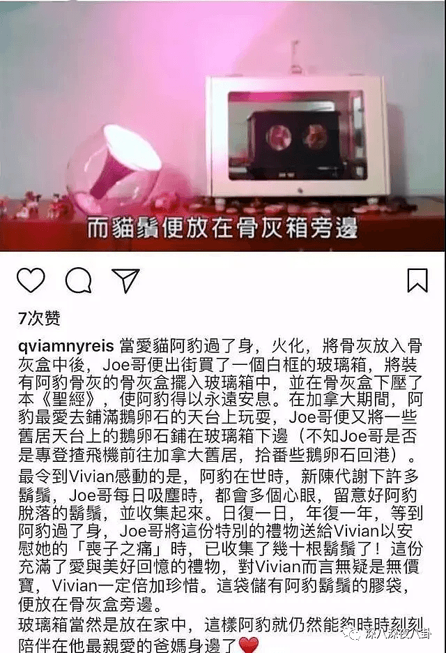 香港玉女呼吁Stay Home，老公却在闹市出轨，曾为爱退圈、隐居温哥华，如今…（组图） - 20